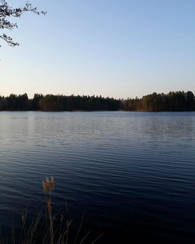 28.04.2019