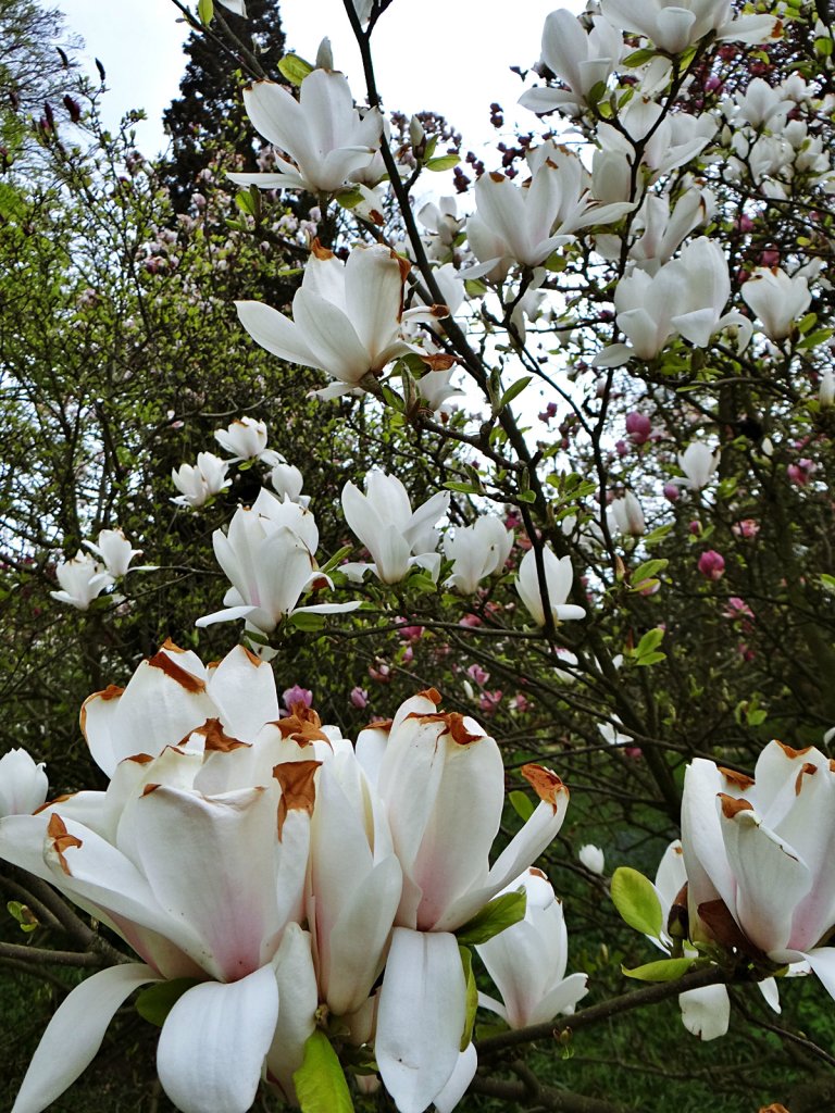 1-18.04.2019