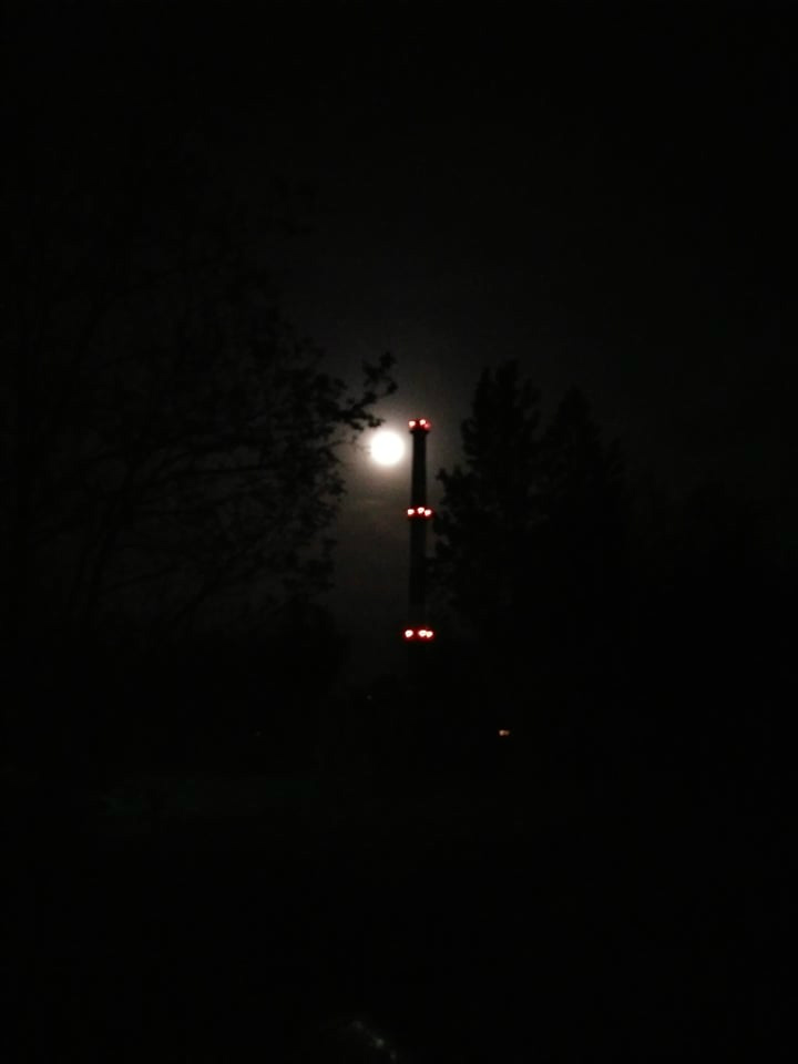 Night8