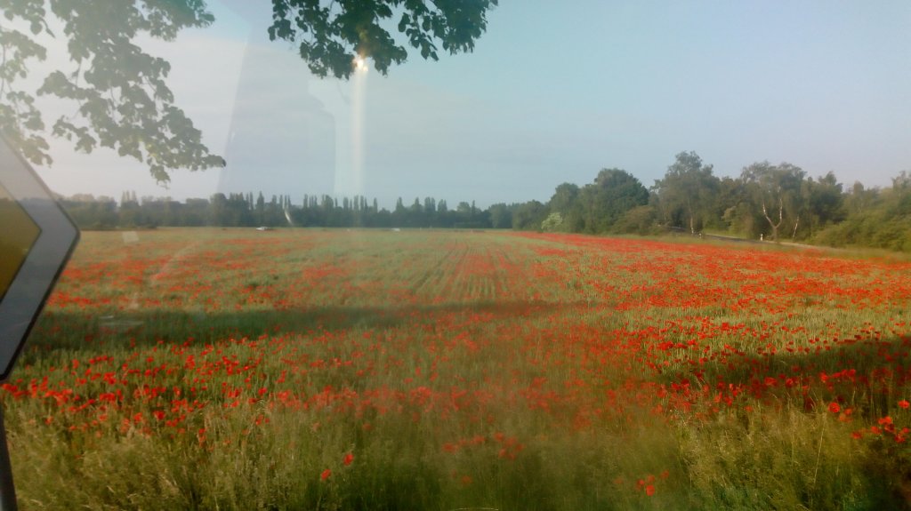 Cze po czasie