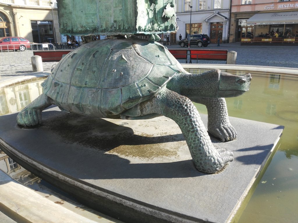 tysic znacze