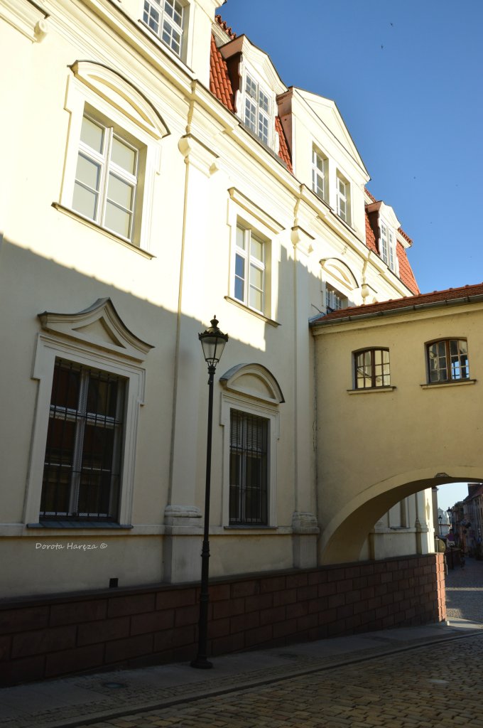 Grudzidz