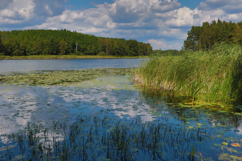 Jezioro Kszyckie 