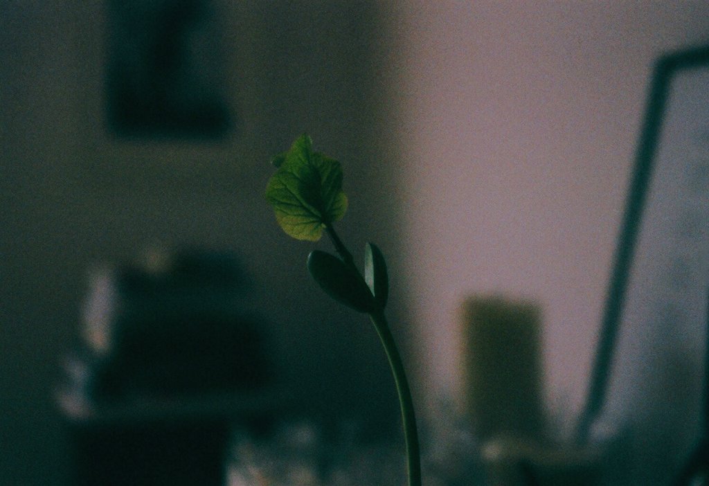 little one