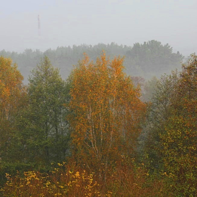barwy jesieni