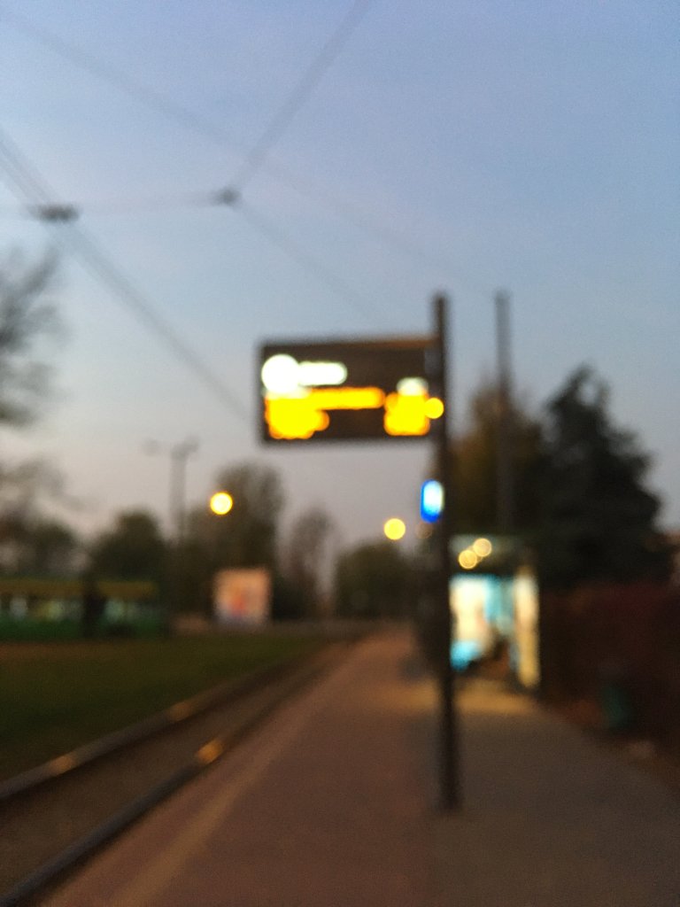 1038