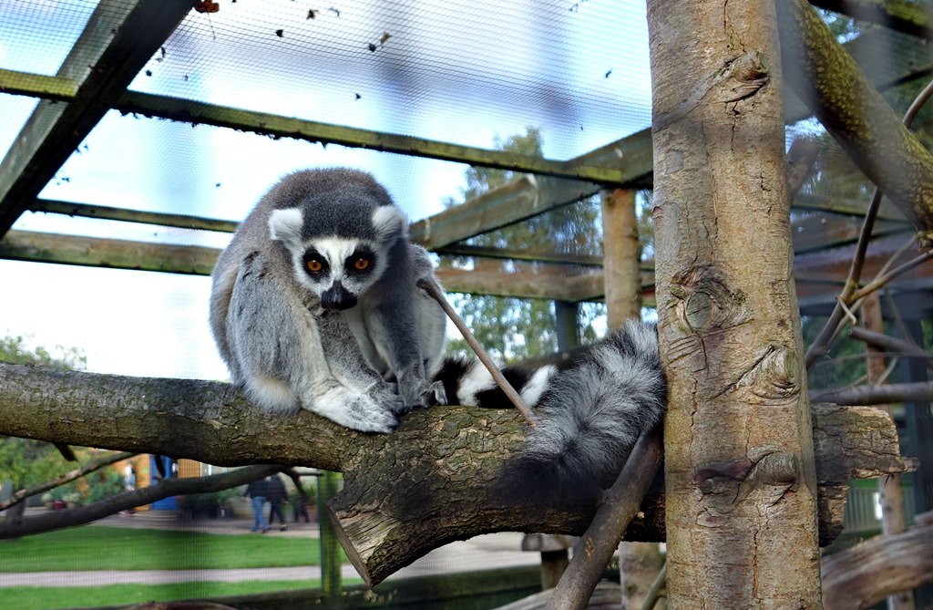 Beale Park