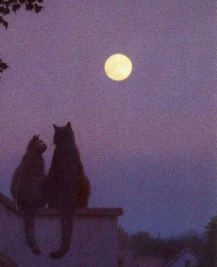 Na dobr noc...