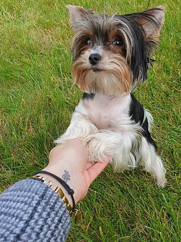 Lusia/jasmina/jedna z pupilek