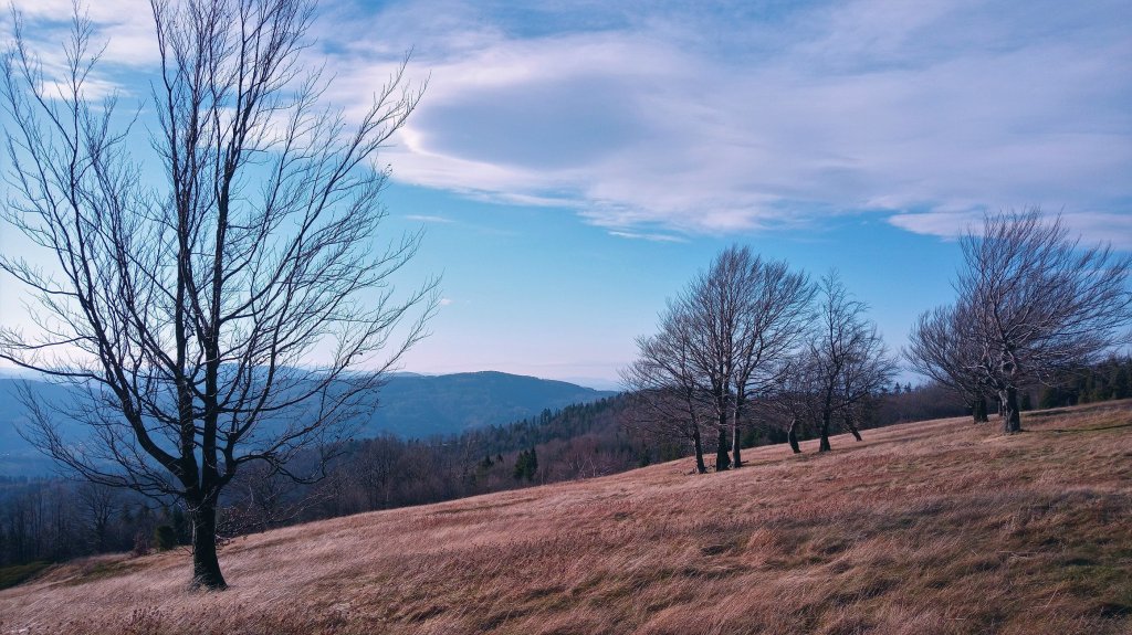 Grskim szlakiem 23.11.2019