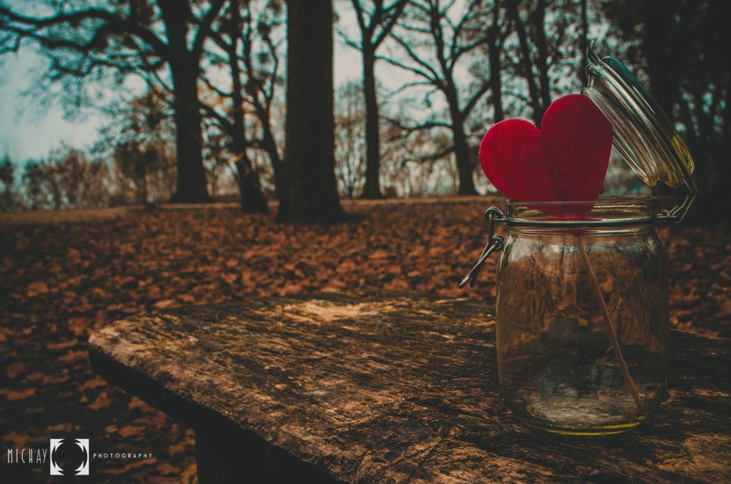 Through The Glass :: part I 