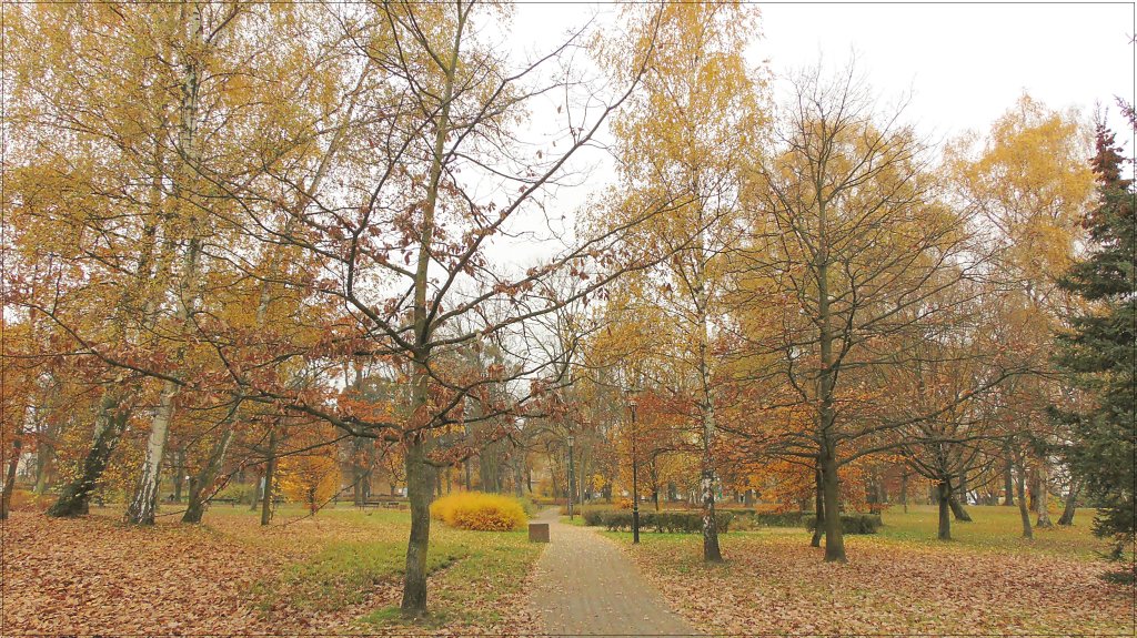 park "Zielony" ...