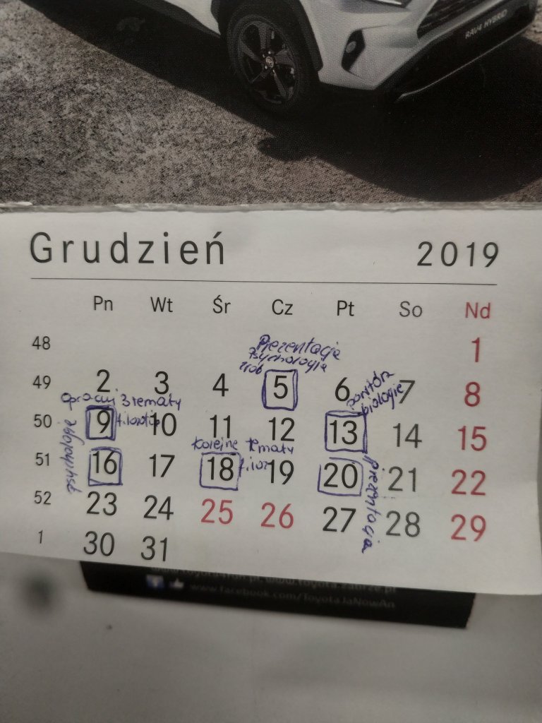 Organizacja czasu