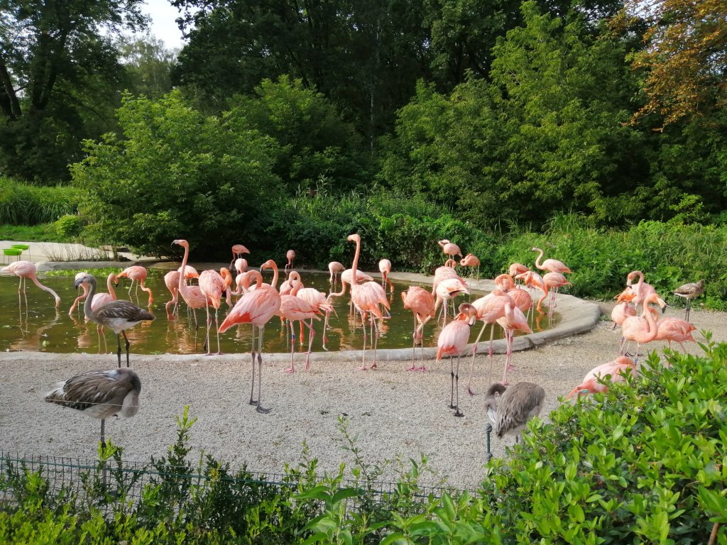Zoo Ostrava