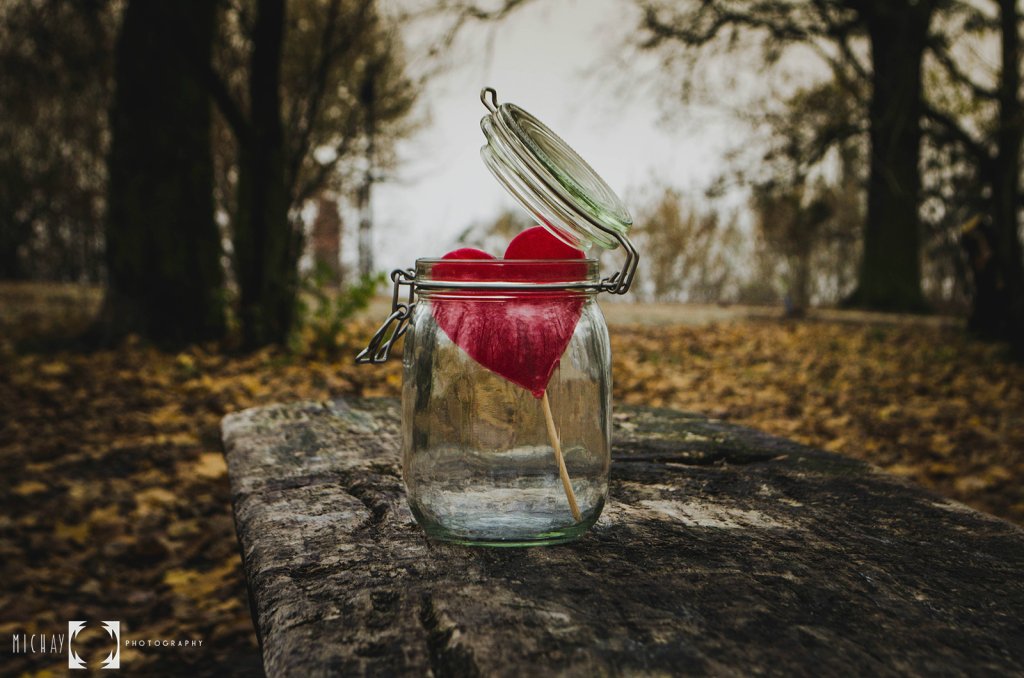 Through The Glass :: part III