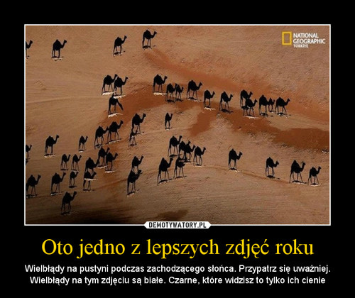 now rok, nowe moliwoci
