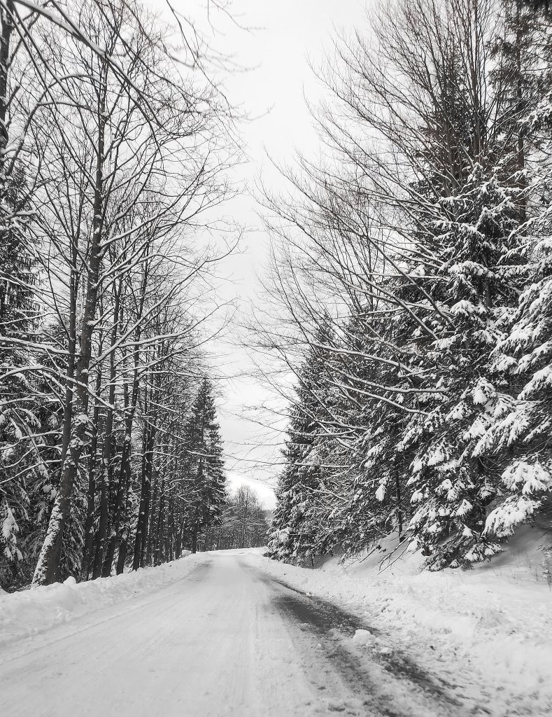 Winter wonderland.