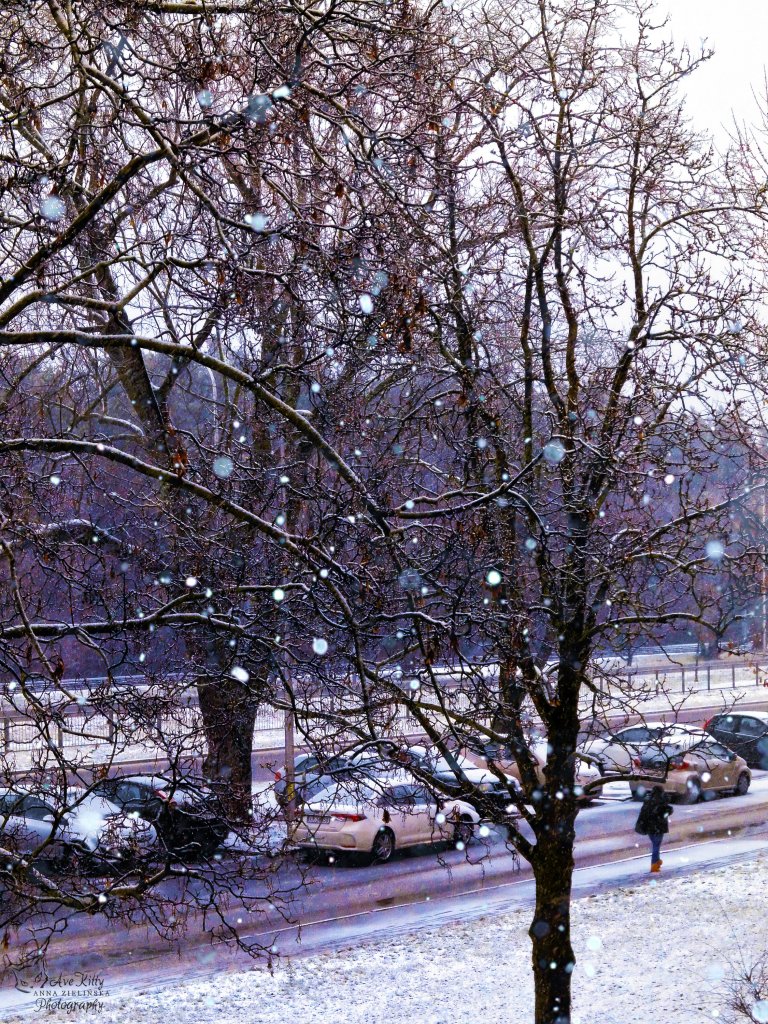WSPOMNIENIA Z ZIMOWEGO DNIA