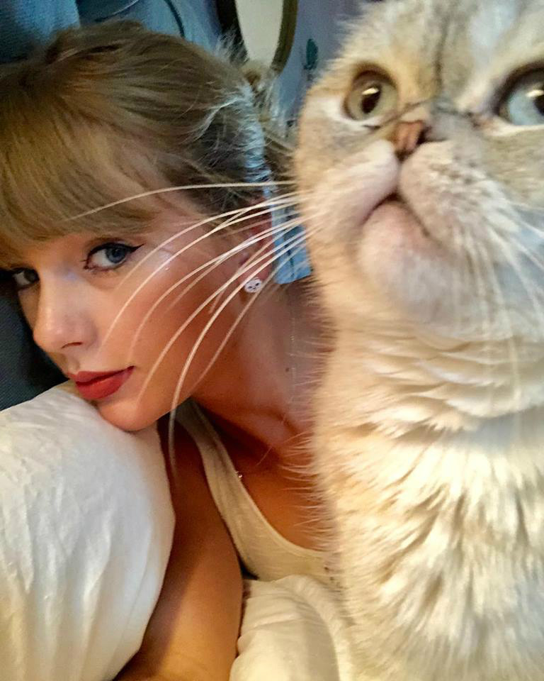 Taylor Swift.