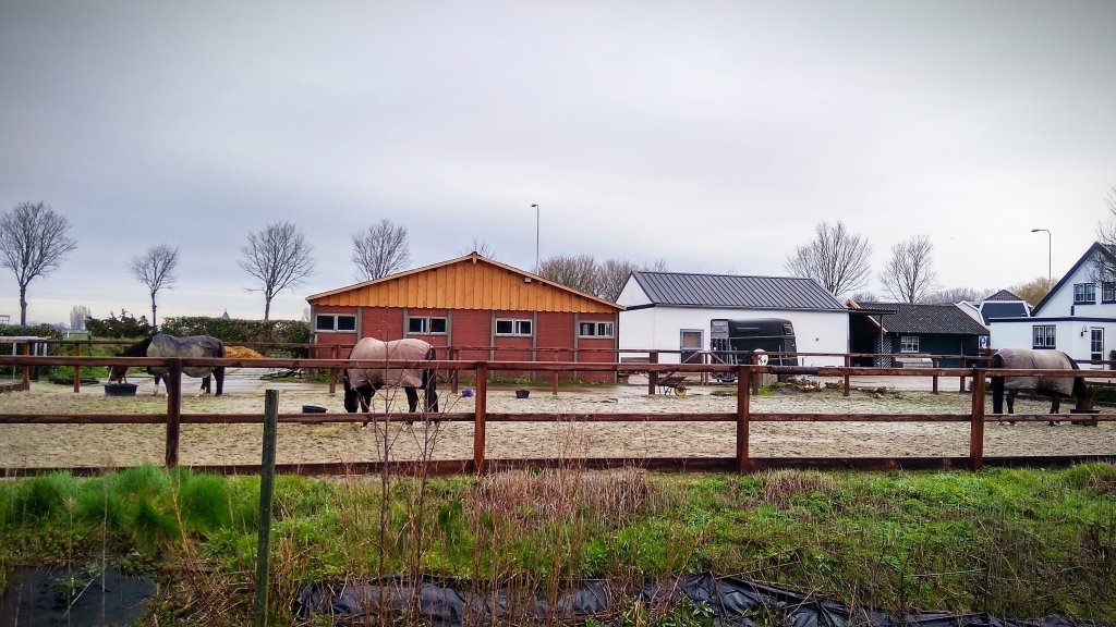 Zwaagdijk