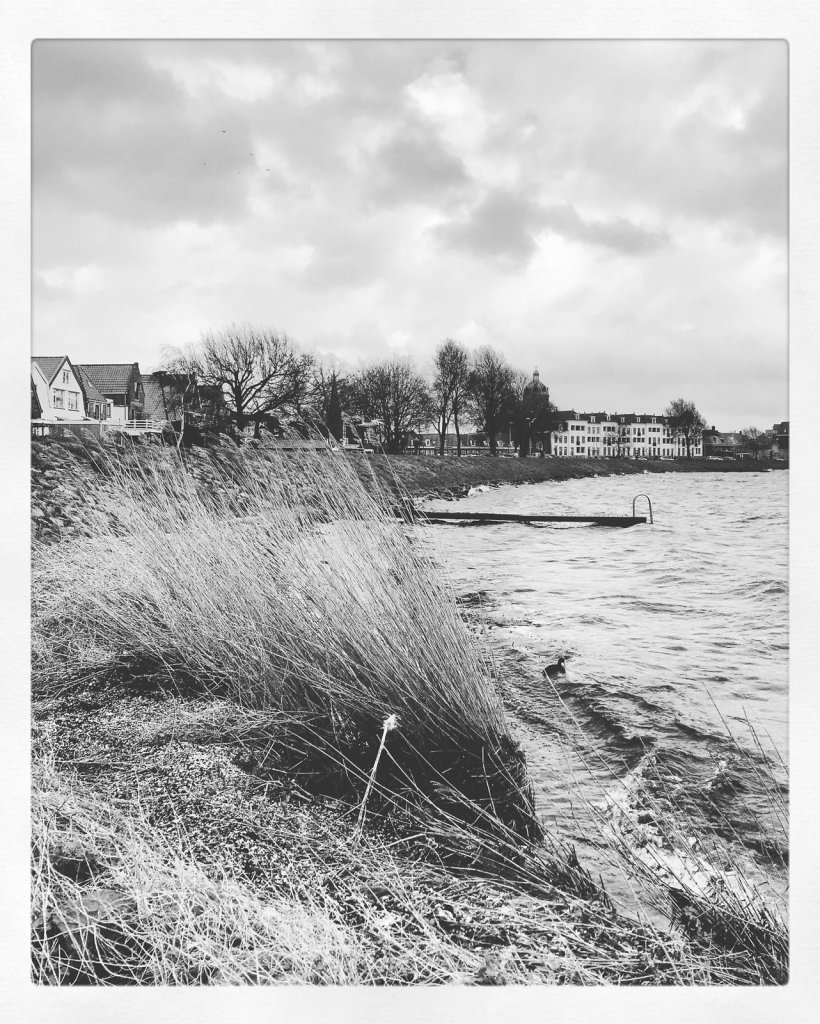 Hoorn