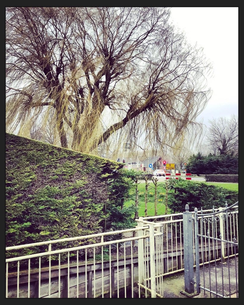 Zwaagdijk