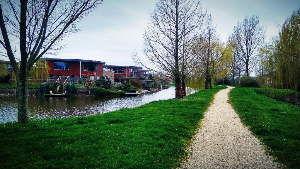 Zwaagdijk