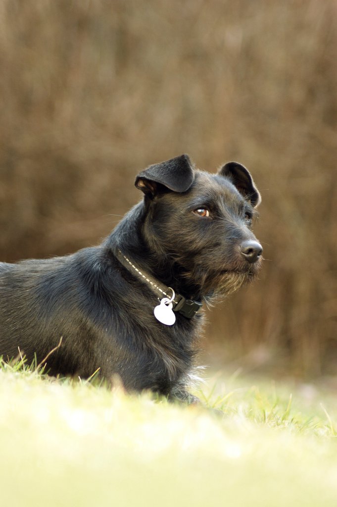 Ares