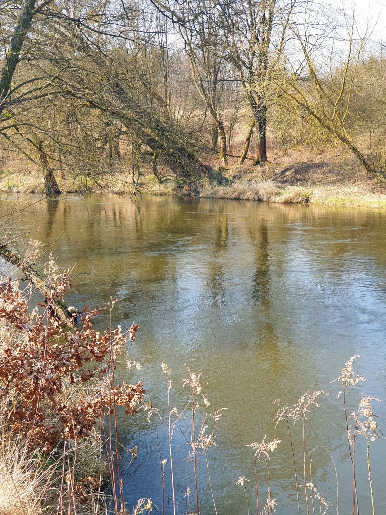 Wiosna nad Drwc.