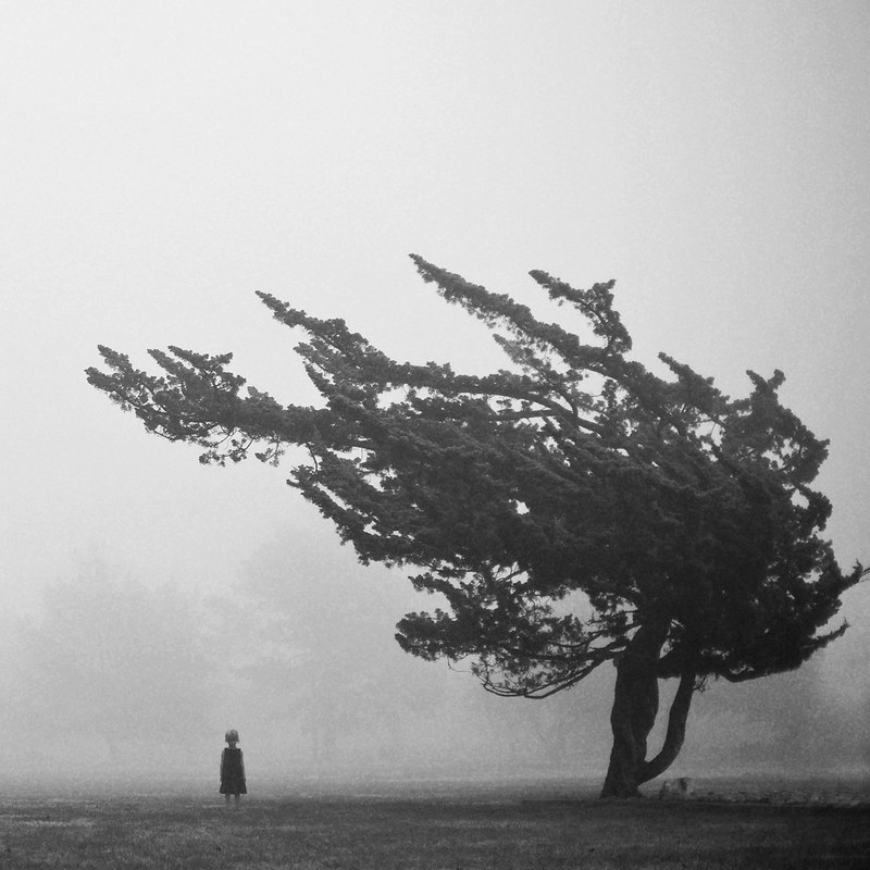 195.