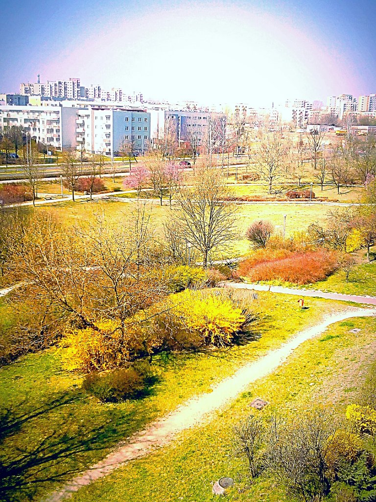 Po prostu lubi wiosn