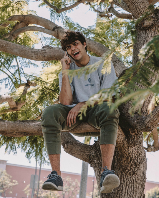 Noah Centineo.
