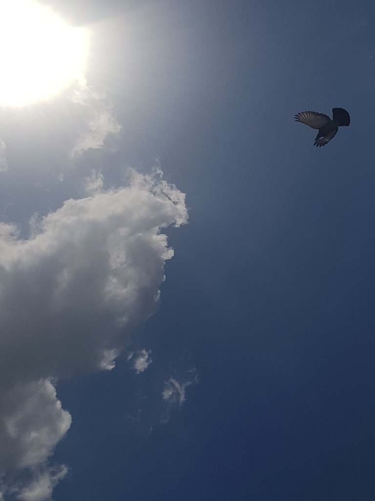 Odkrywanie piekna &#129419;