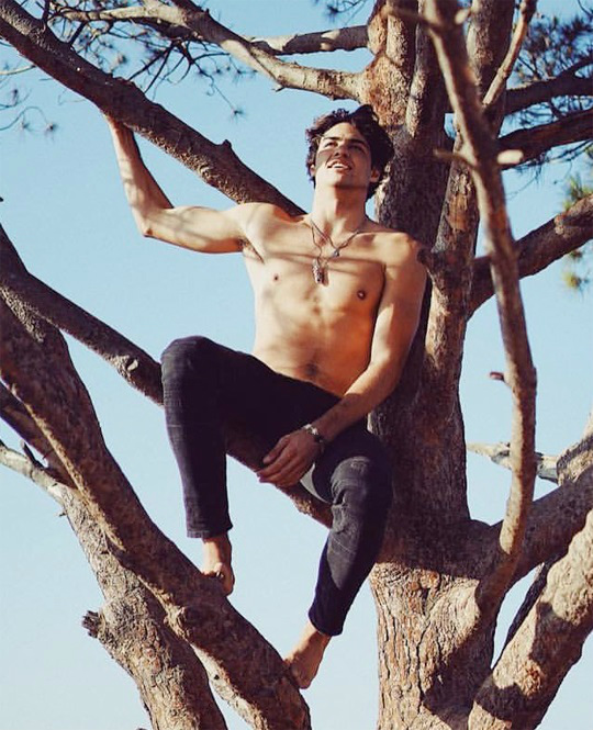 Noah Centineo.
