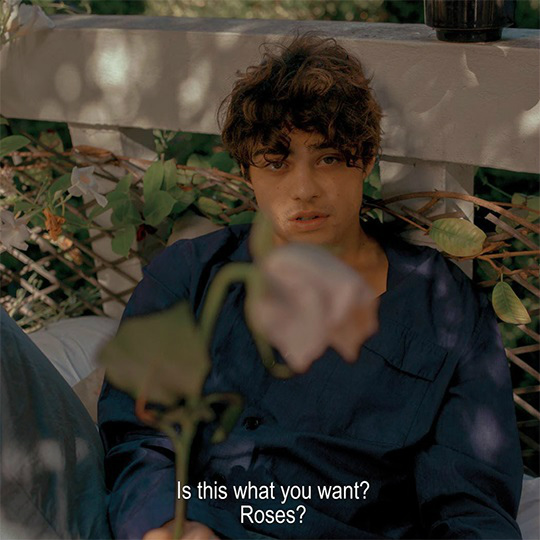 Noah Centineo.
