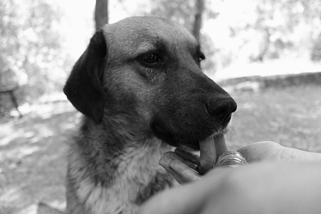 Mykeny, Grecja 2018