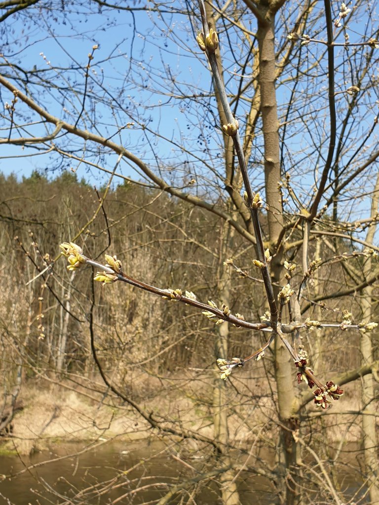 ciekawe miejsca..