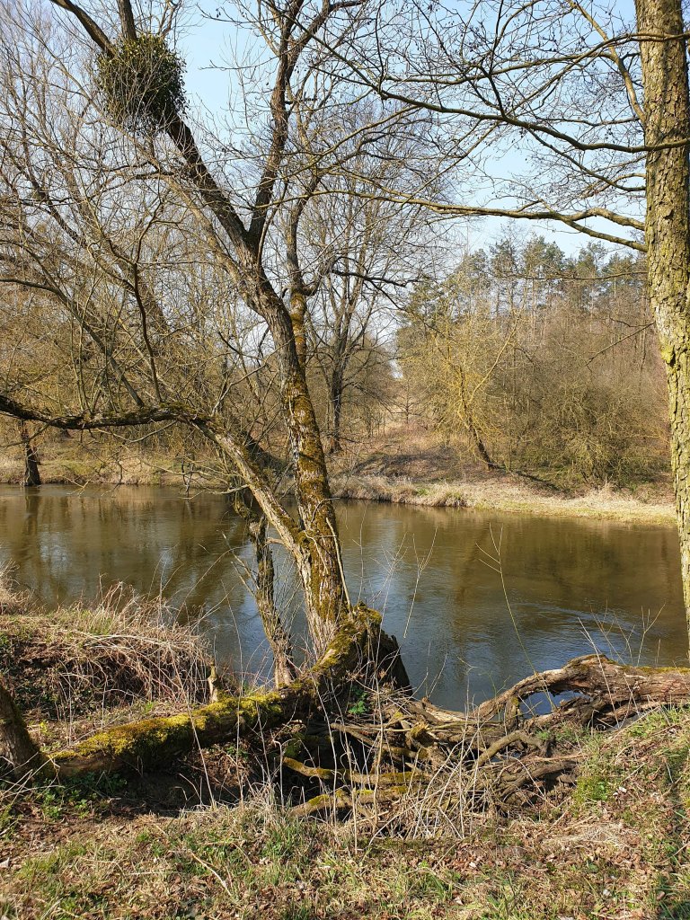 wiosenne klimaty
