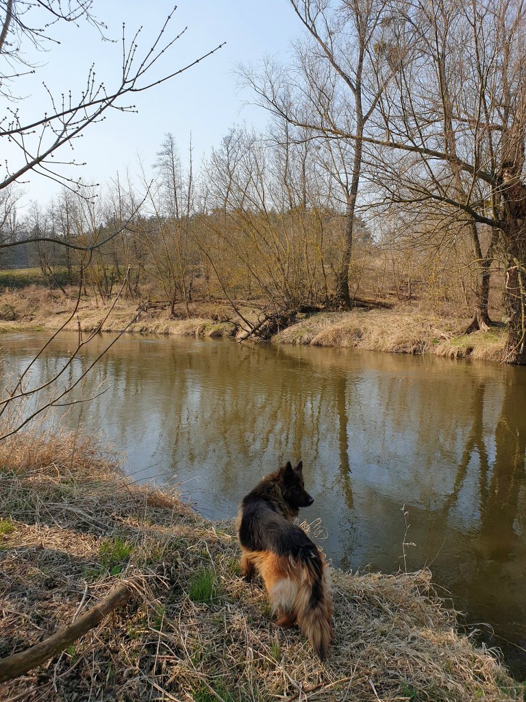 spacerkiem nad Drwc