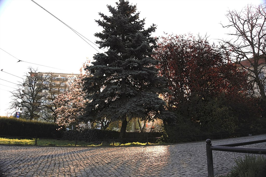 Poranek w Szczecinie