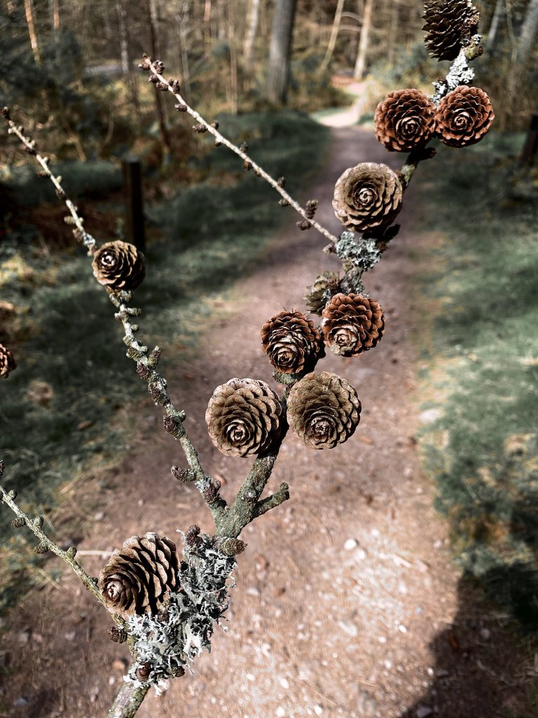22/04/2020