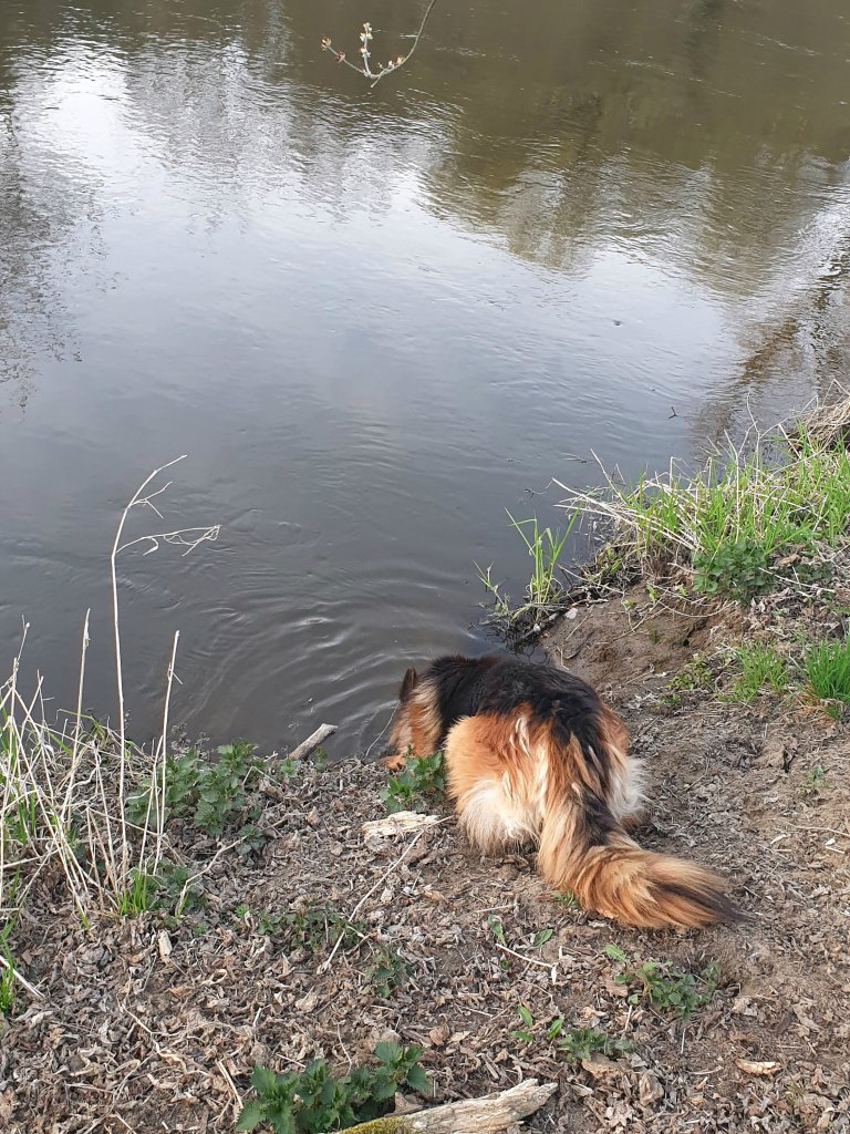 Po czym j tak suszy?