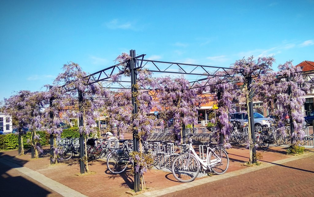 30.04.2020 Wervershoof