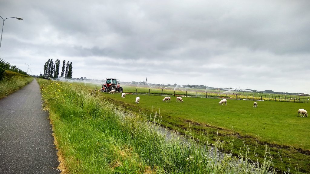 24.05.2020 Wervershoof