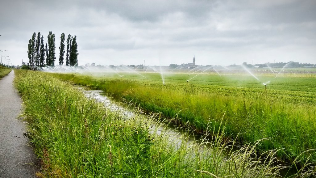 24.05.2020 Wervershoof