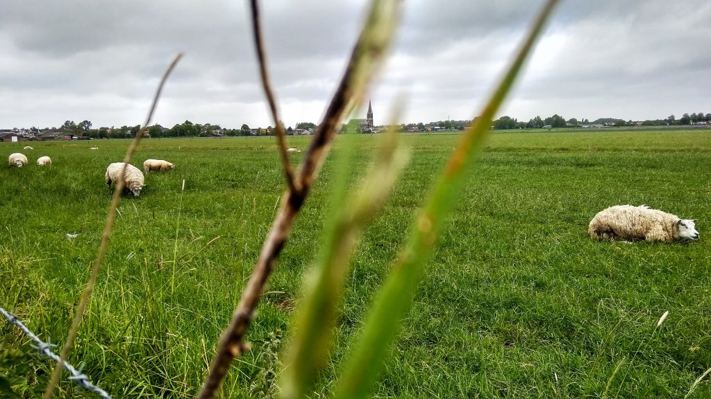 24.05.2020 Wervershoof