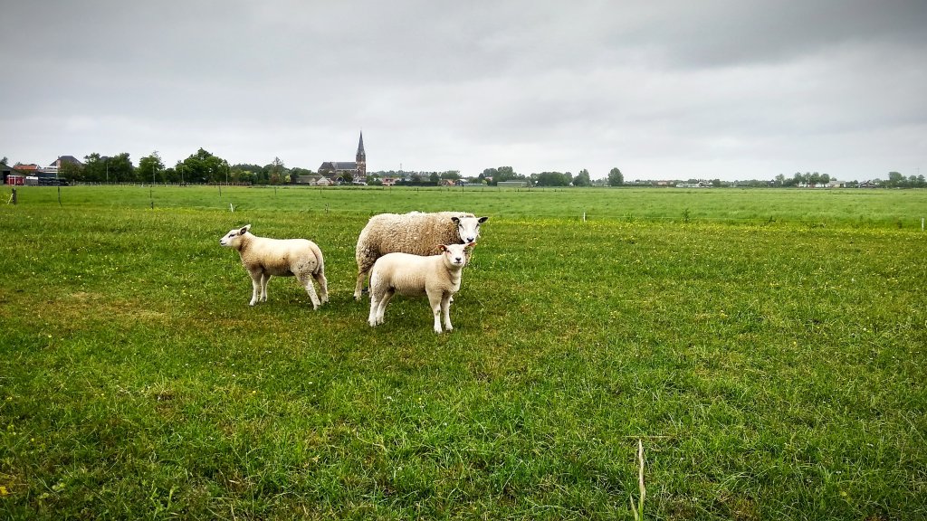 24.05.2020 Wervershoof