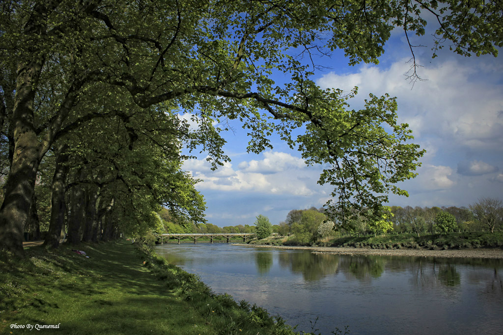 Avenham Park