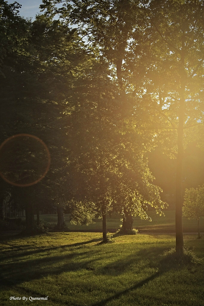 Preston - Avenham Park