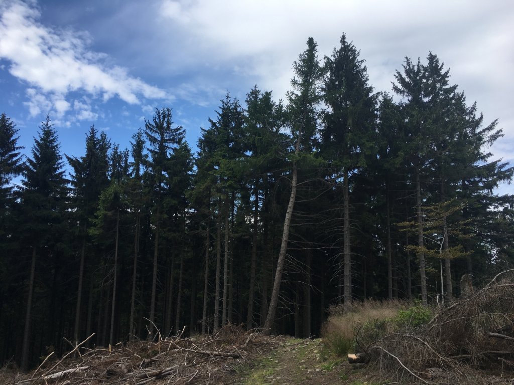 Dwie przecze i 20km